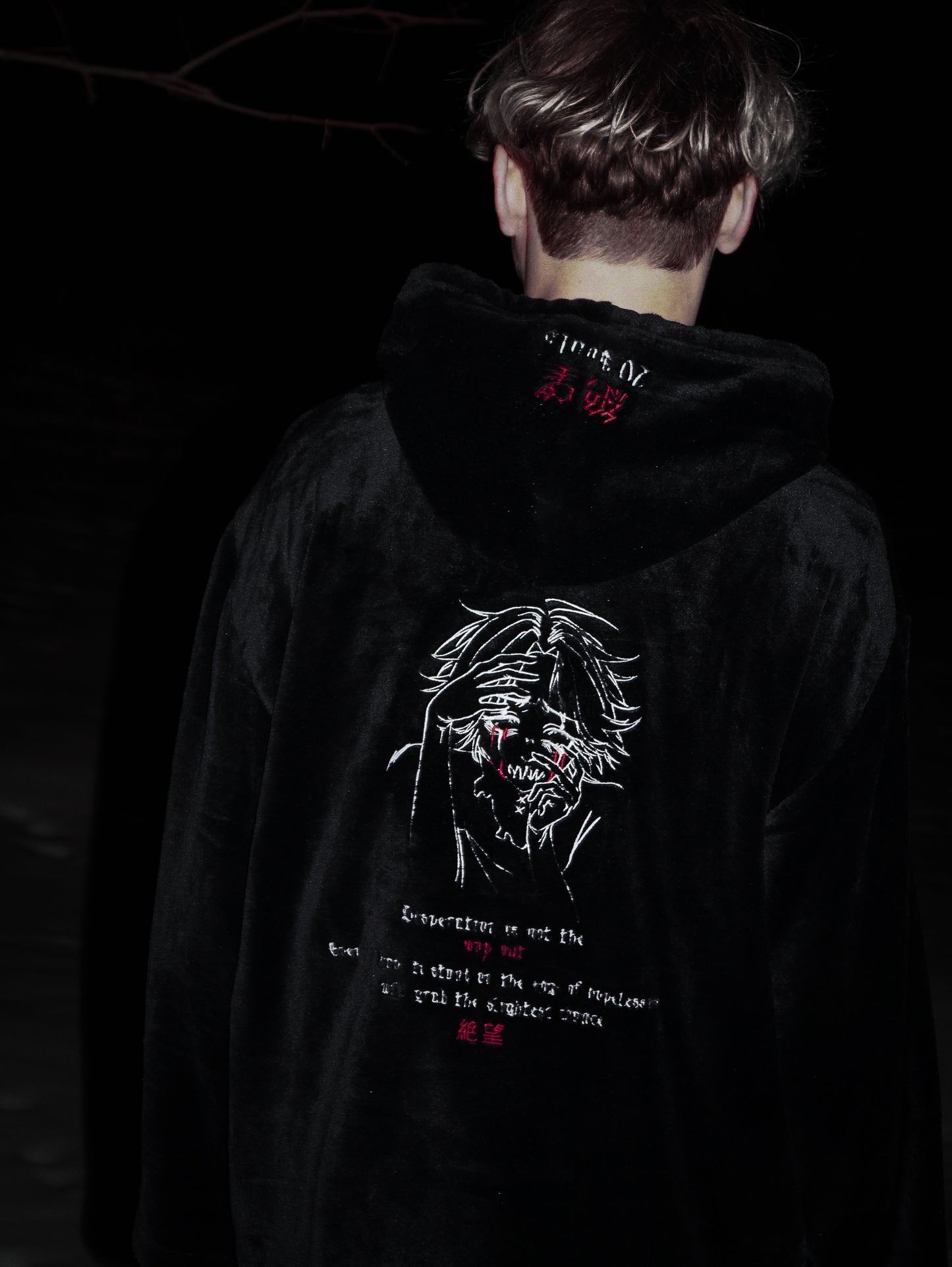 "ETERNAL CHANCE" PLUSH HOODIE